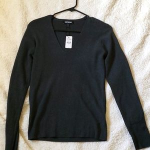 Express Vneck sweater